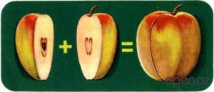 1373016874_102480926_pe654