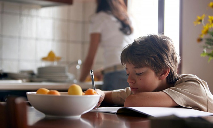 1167514-241610-7x163507